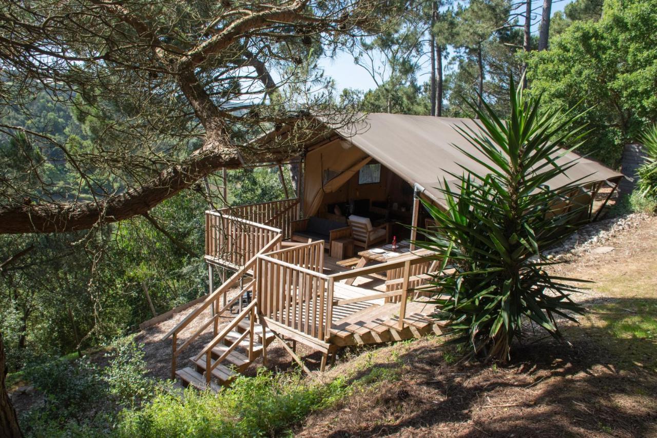Quinta Japonesa Bed & Breakfast Carvalhal Bemfeito Dış mekan fotoğraf