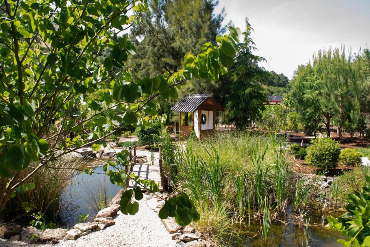 Quinta Japonesa Bed & Breakfast Carvalhal Bemfeito Dış mekan fotoğraf