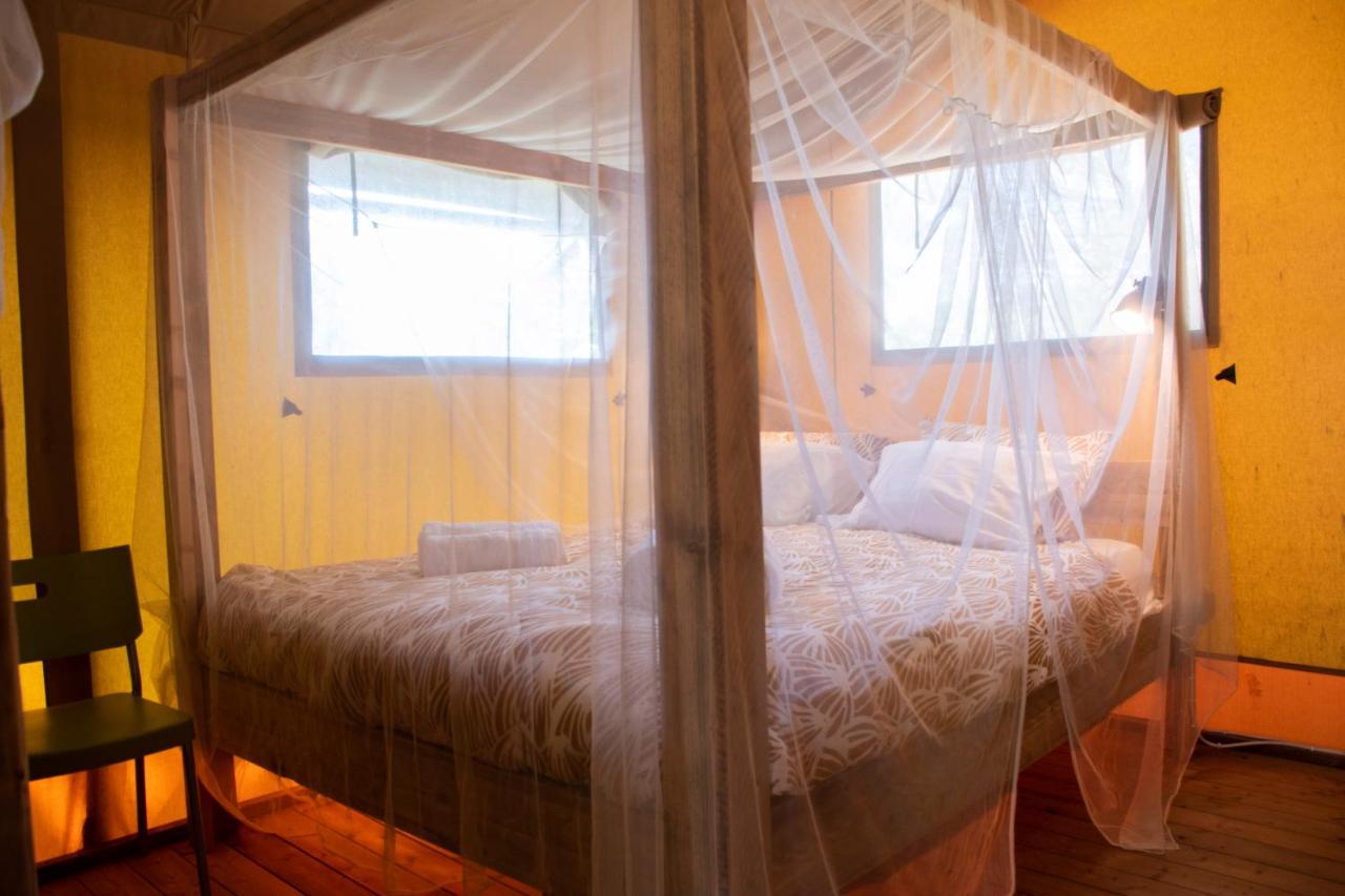 Quinta Japonesa Bed & Breakfast Carvalhal Bemfeito Dış mekan fotoğraf