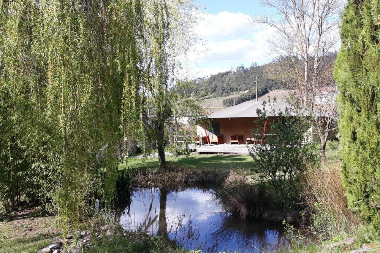 Quinta Japonesa Bed & Breakfast Carvalhal Bemfeito Dış mekan fotoğraf
