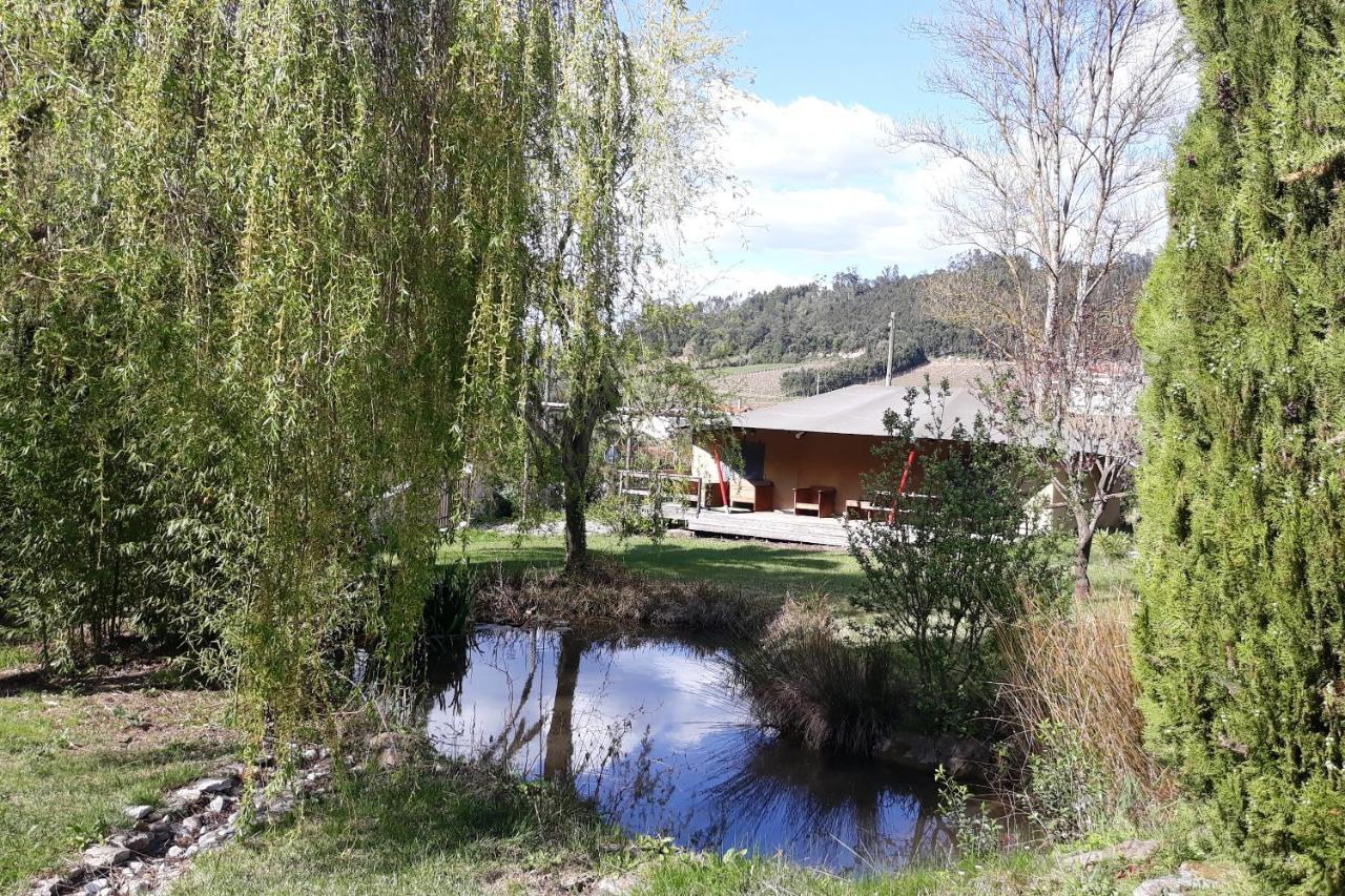 Quinta Japonesa Bed & Breakfast Carvalhal Bemfeito Dış mekan fotoğraf