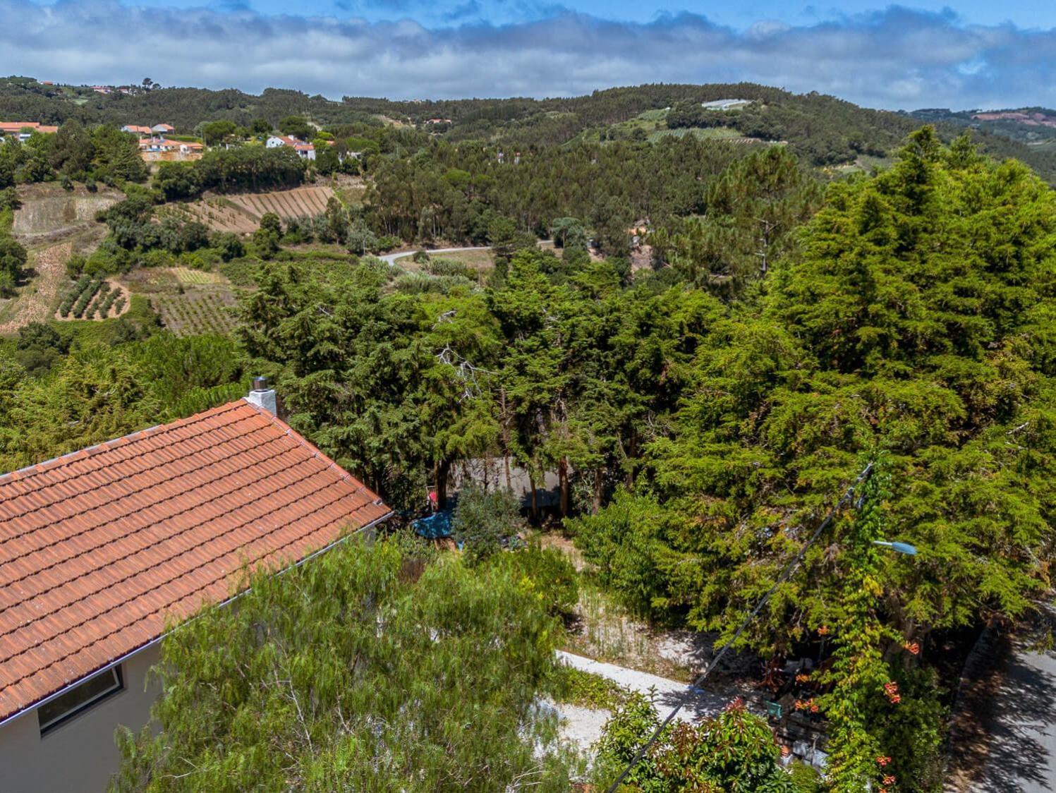 Quinta Japonesa Bed & Breakfast Carvalhal Bemfeito Dış mekan fotoğraf