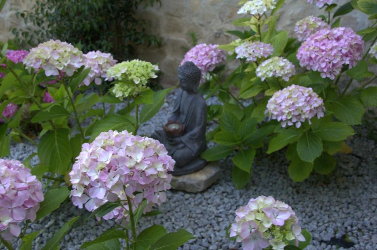 Quinta Japonesa Bed & Breakfast Carvalhal Bemfeito Dış mekan fotoğraf